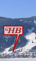 Click for detailed view - Hotel directly at the ski slope in Zell am See.