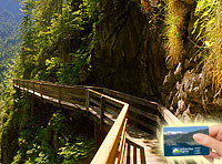 Unlimited entrance to the Vorderkaserklamm Gorge in St. Martin with the Zell am See - Kaprun card.